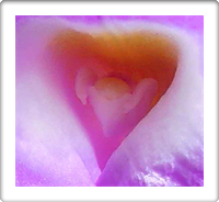 Austin Art Photography